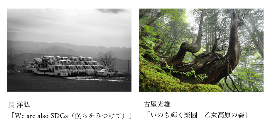 2023年6月1日（木）～6月12日（月）東京写真月間 2023「SDGs 環境」 公益社団法人 日本写真協会