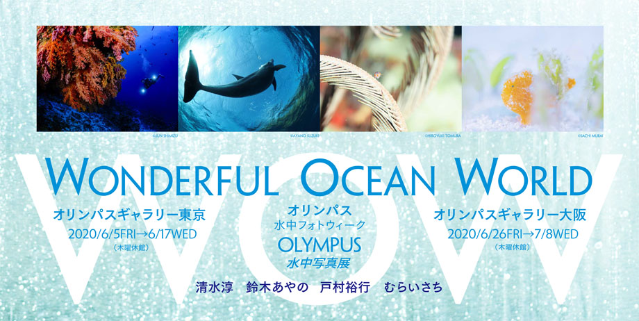 【オリンパスギャラリー東京】2020年6月5日～6月17日 OLYMPUS 水中写真展