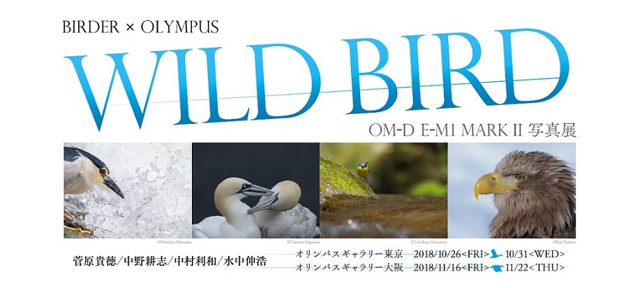 オリンパスギャラリー東京】2018年10月26日～10月31日　BIRDER × OLYMPUS　E-M1 Mark II 写真展