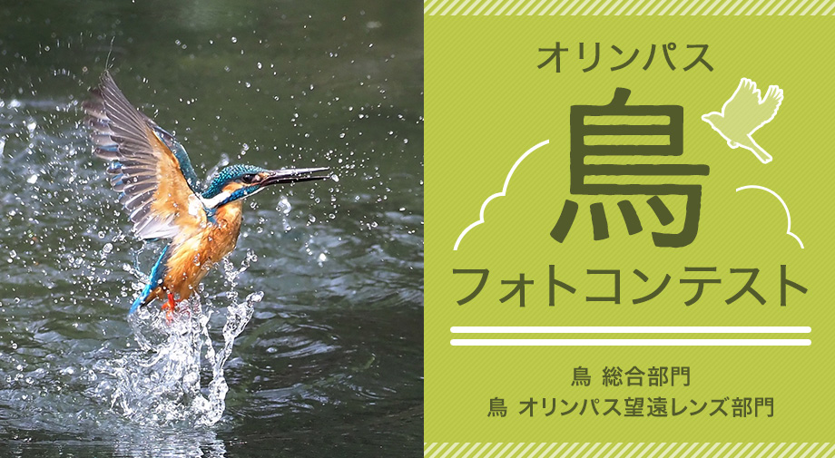 10月26日(金)～10月31日(水) オリンパス鳥フォトコンテスト優秀作品展
