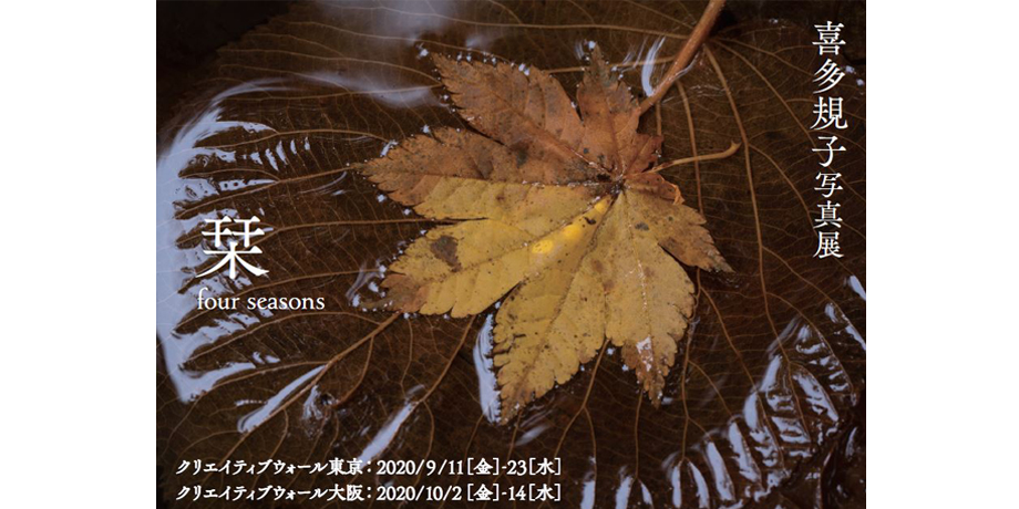 2020年10月2日～10月14日　喜多 規子 写真展「栞 ―four seasons―」