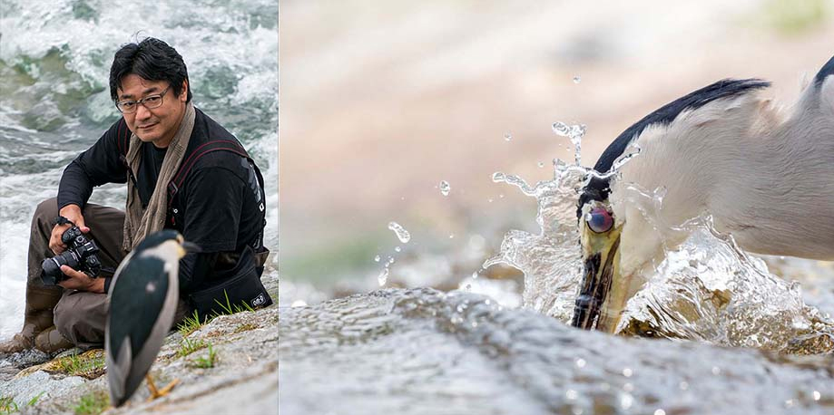 【CWll】 11月13日(金)～11月18日(水) 水中 伸浩 写真展 「サギたちと水のカタチ」