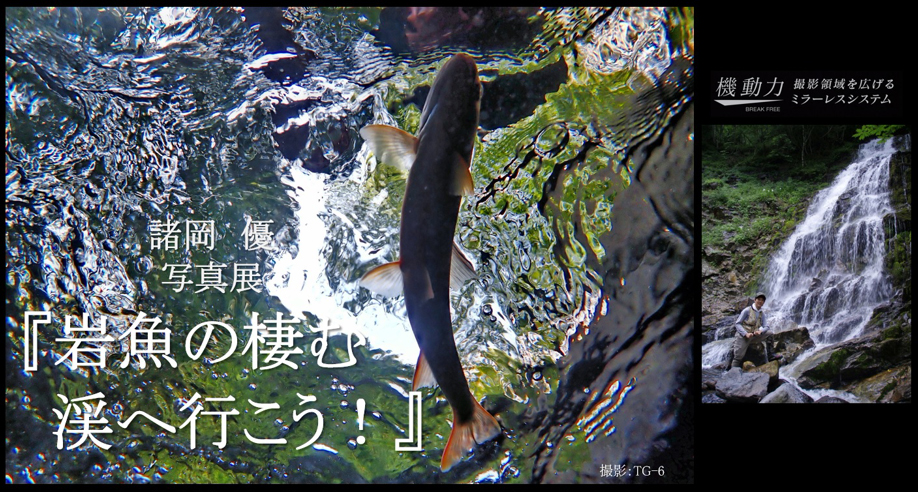 【CWII】2020年7月24日～2020年8月5日　諸岡 優 写真展『岩魚の棲む渓へ行こう！』