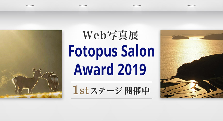 6月28日（金）～7月4日（木）Fotopus Salon Award 2019 1stステージ優秀作品個展