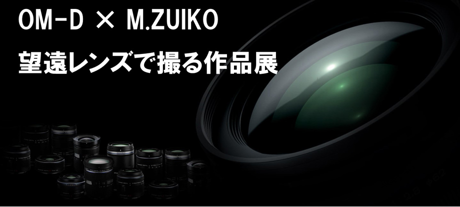 【CWll】2020年9月4日～9月16日 「OM-D × M.ZUIKO望遠レンズで撮る作品展」