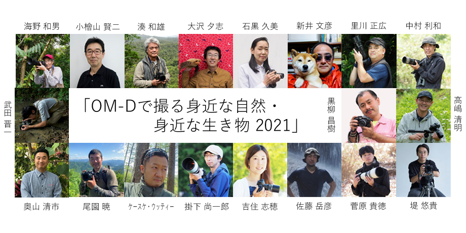 2021年7月29日～8月9日　日本自然科学写真協会（SSP）有志展「OM-Dで撮る身近な自然・身近な生き物 2021」