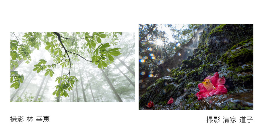 2022年5月19日～5月30日　Nature Colors 林 幸恵 × 清家 道子　～広角レンズで撮る「風景&マクロ」～