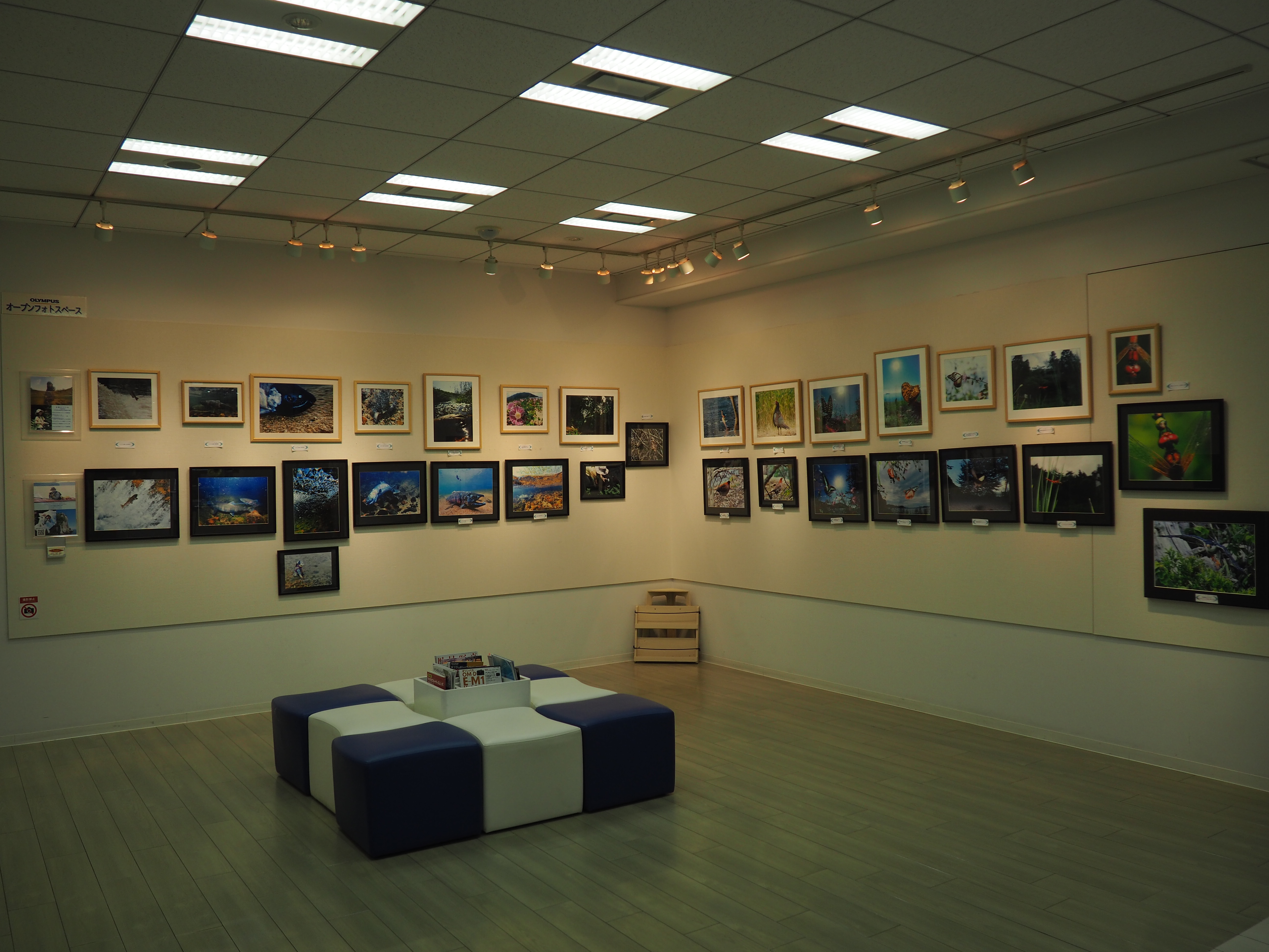 9月1日～7日奥琵琶湖ペンション『Rudder』マスターの親子ネイチャー写真展