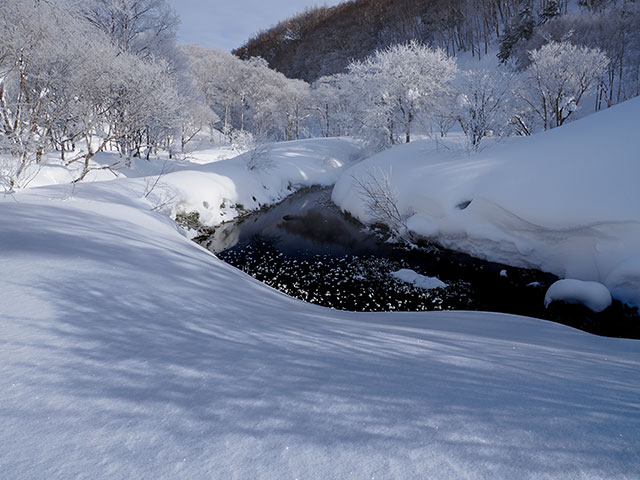 写真家 萩原史郎がM.ZUIKO DIGITAL ED 12-100mm F4.0 IS PROで撮影した志賀高原での霧氷の写真