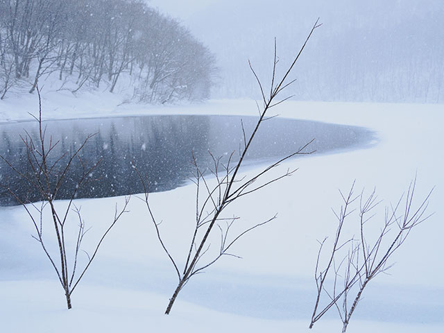 写真家 萩原史郎がM.ZUIKO DIGITAL ED 12-100mm F4.0 IS PROで撮影した池と雪の写真