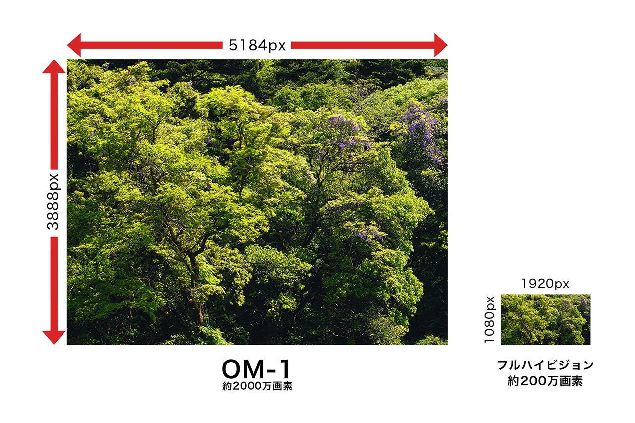 OM-1とフルハイビジョンの画素数比較イメージ画像