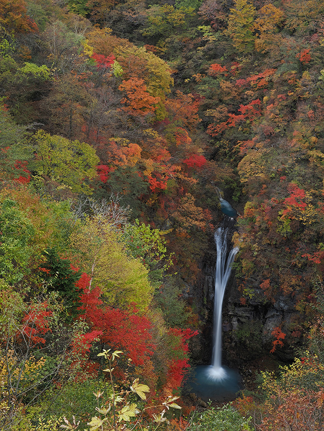 写真家喜多規子がM.ZUIKO DIGITAL ED 12-40mm F2.8 PRO IIで撮影した滝の紅葉風景の写真