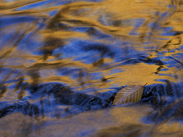 写真家喜多規子がM.ZUIKO DIGITAL ED 100-400mm F5.0-6.3 ISで撮影した川に空と紅葉が写りこんだ写真