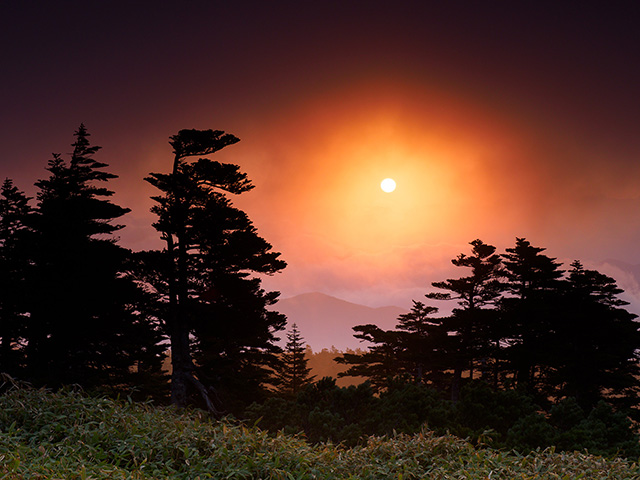写真家萩原史郎がM.ZUIKO DIGITAL ED 12-100mm F4.0 IS PROで撮影した木のシルエットと暗雲に挟まれた太陽の風景写真