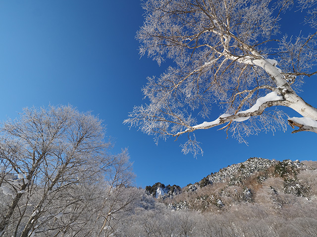 写真家萩原史郎がM.ZUIKO DIGITAL ED 7-14mm F2.8 PROで撮影した樹氷の風景写真