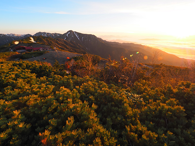 写真家川野恭子がM.ZUIKO DIGITAL ED 7-14mm F2.8 PROで撮影した朝焼けに染まる蝶ヶ岳と雲海