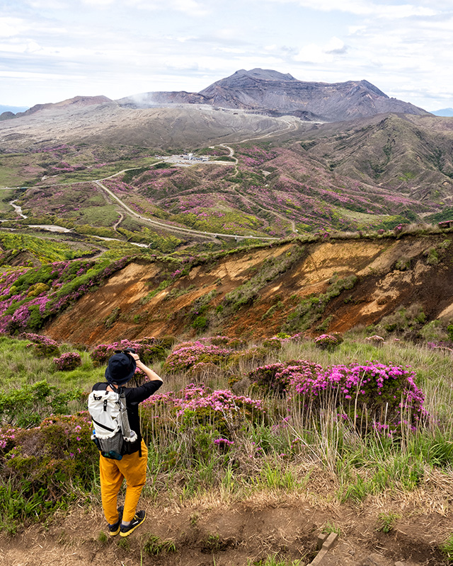 山岳写真家 平野篤がM.ZUIKO DIGITAL ED 12-40mm F2.8 PRO IIで撮影したミヤマキリシマが咲く阿蘇の大地と阿蘇山主峰の写真