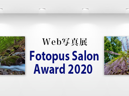 Fotopus Salon Award 2020