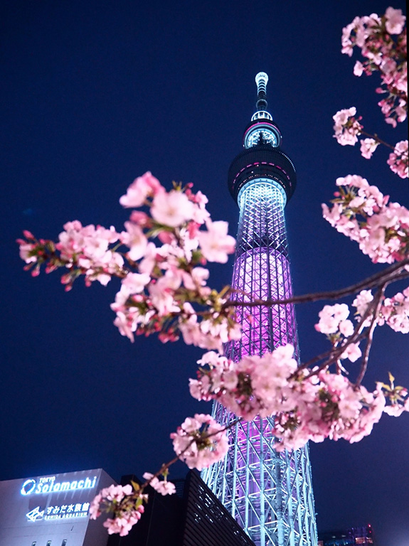 東京スカイツリーの写真 Fotopus 写真コミュニティフォトパス