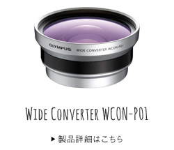 ワイドコンバーター WCON-P01