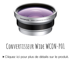 Wide converter WCON-P01