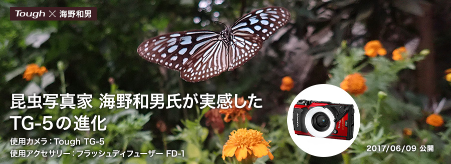 昆虫写真家 海野和男氏が実感したTG-5の進化 使用カメラ：Tough TG-5／使用アクセサリー：フラッシュディフューザー FD-1