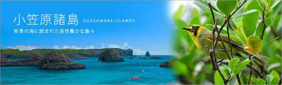 小笠原諸島 紺青の海に囲まれた自然豊かな島々